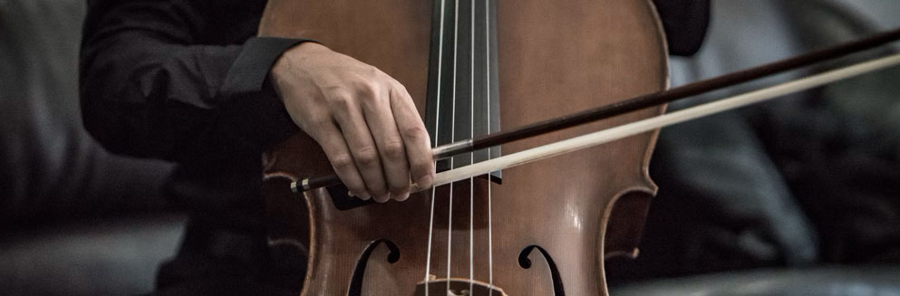 um violino como imagem ilustrativa da página de propriedade intelectual